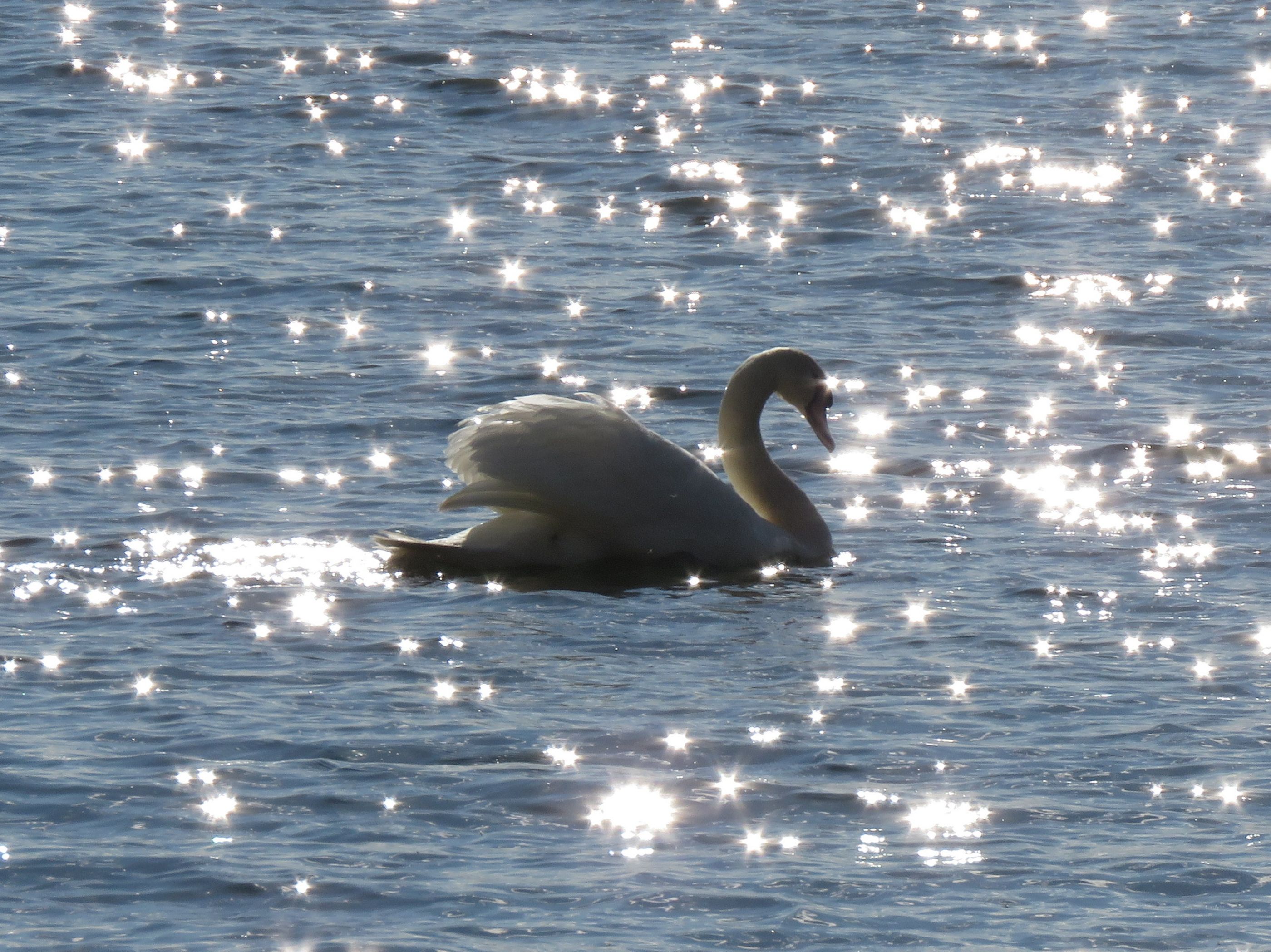 bersee chieming 034